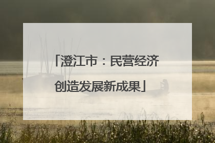 澄江市：民营经济创造发展新成果