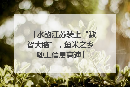 水韵江苏装上“数智大脑”，鱼米之乡驶上信息高速