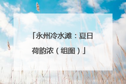 永州冷水滩：夏日荷韵浓（组图）