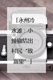 永州冷水滩：小辣椒结出村民“致富果”