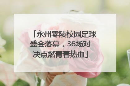 永州零陵校园足球盛会落幕，36场对决点燃青春热血