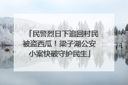 民警烈日下追回村民被盗西瓜！梁子湖公安小案快破守护民生