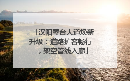 汉阳琴台大道焕新升级：道路扩容畅行，架空管线入廊