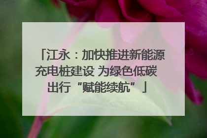 江永：加快推进新能源充电桩建设 为绿色低碳出行“赋能续航”