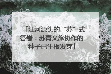 江河源头的“苏”式答卷:苏青文旅协作的种子已生根发芽
