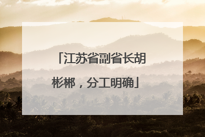 江苏省副省长胡彬郴，分工明确