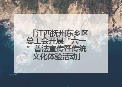 江西抚州东乡区总工会开展“六一”普法宣传暨传统文化体验活动