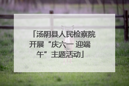 汤阴县人民检察院开展“庆六一 迎端午”主题活动