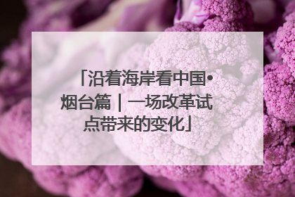 沿着海岸看中国•烟台篇｜一场改革试点带来的变化