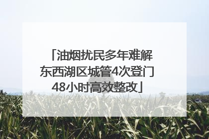 油烟扰民多年难解 东西湖区城管4次登门48小时高效整改