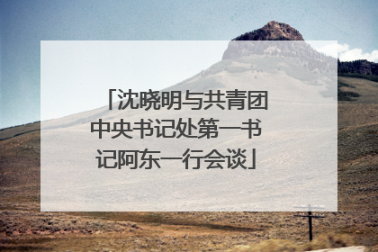 沈晓明与共青团中央书记处第一书记阿东一行会谈