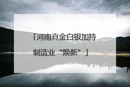 河南真金白银加持制造业“焕新”