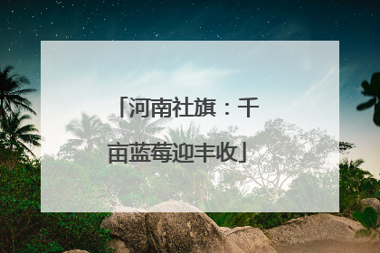 河南社旗：千亩蓝莓迎丰收