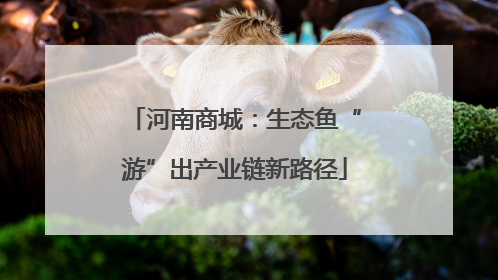 河南商城：生态鱼“游”出产业链新路径