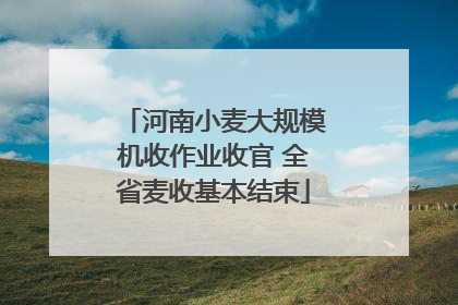 河南小麦大规模机收作业收官 全省麦收基本结束