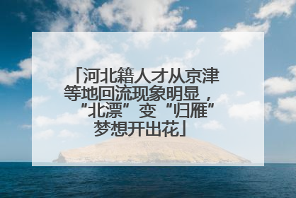 河北籍人才从京津等地回流现象明显，“北漂”变“归雁” 梦想开出花