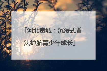 河北宽城：沉浸式普法护航青少年成长