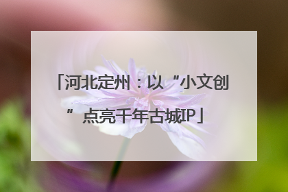 河北定州：以“小文创”点亮千年古城IP