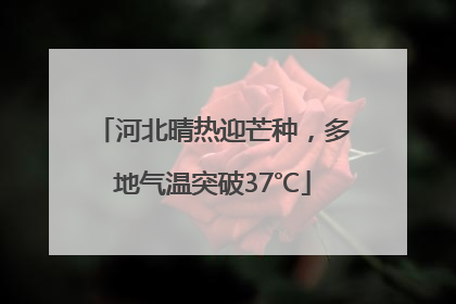 河北晴热迎芒种，多地气温突破37℃