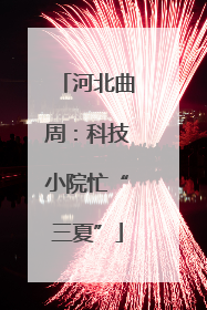 河北曲周：科技小院忙“三夏”