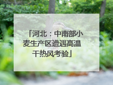 河北：中南部小麦生产区遭遇高温干热风考验