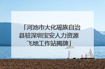 河池市大化瑶族自治县驻深圳宝安人力资源飞地工作站揭牌