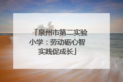 泉州市第二实验小学：劳动砺心智实践促成长