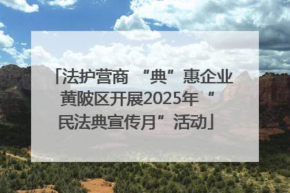 法护营商 “典”惠企业 黄陂区开展2025年“民法典宣传月”活动