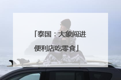 泰国：大象闯进便利店吃零食