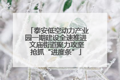 泰安低空动力产业园一期建设全速推进 文庙街道聚力攻坚抢抓“进度条”