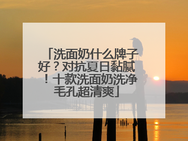 洗面奶什么牌子好？对抗夏日黏腻！十款洗面奶洗净毛孔超清爽
