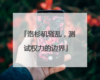 洛杉矶骚乱，测试权力的边界