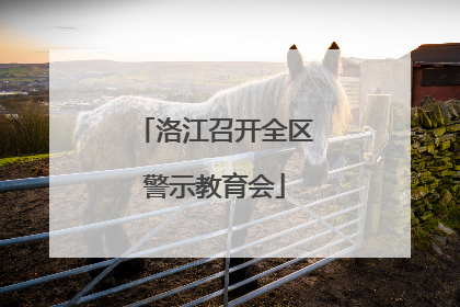 洛江召开全区警示教育会