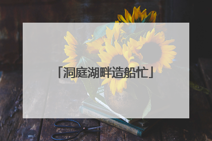 洞庭湖畔造船忙