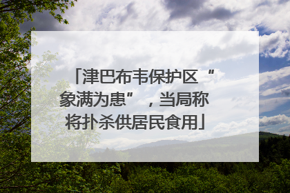 津巴布韦保护区“象满为患”，当局称将扑杀供居民食用