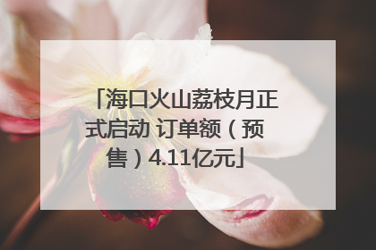 海口火山荔枝月正式启动 订单额（预售）4.11亿元