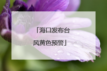海口发布台风黄色预警