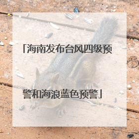 海南发布台风四级预警和海浪蓝色预警