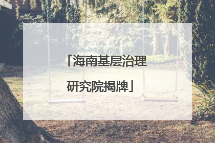 海南基层治理研究院揭牌