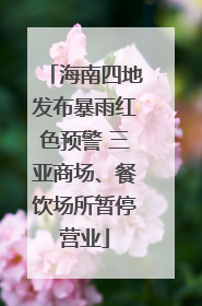 海南四地发布暴雨红色预警 三亚商场、餐饮场所暂停营业