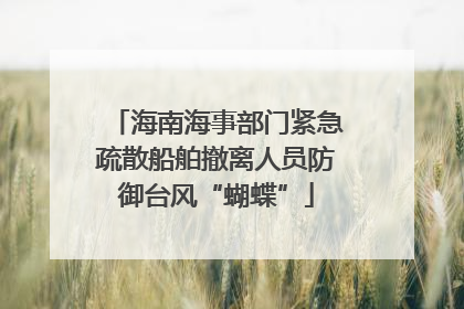 海南海事部门紧急疏散船舶撤离人员防御台风“蝴蝶”
