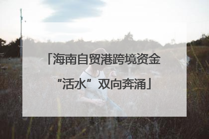海南自贸港跨境资金“活水”双向奔涌