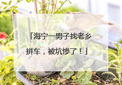 海宁一男子找老乡拼车，被坑惨了！