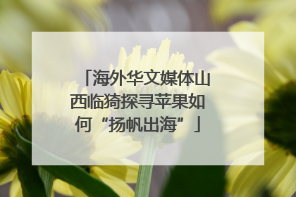 海外华文媒体山西临猗探寻苹果如何“扬帆出海”