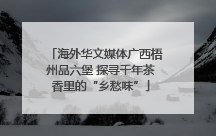 海外华文媒体广西梧州品六堡 探寻千年茶香里的“乡愁味”