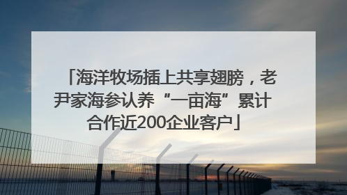 海洋牧场插上共享翅膀，老尹家海参认养“一亩海”累计合作近200企业客户