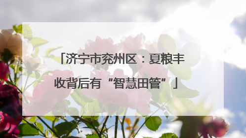 济宁市兖州区：夏粮丰收背后有“智慧田管”