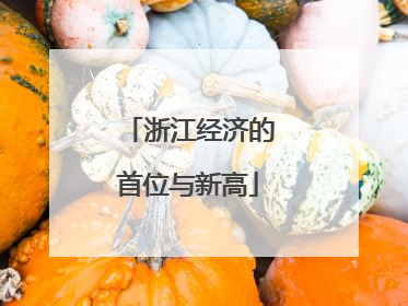 浙江经济的首位与新高