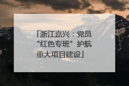 浙江嘉兴：党员“红色专班”护航重大项目建设