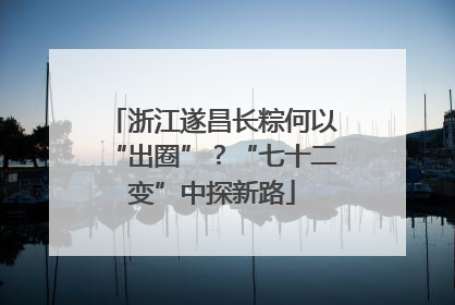 浙江遂昌长粽何以“出圈”？“七十二变”中探新路